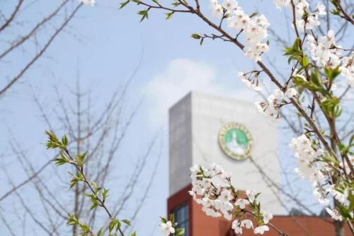 丁字型耳机排名前十(半入耳有线耳机什么牌子音质好)插图36 丁字型耳机排名前十(半入耳有线耳机什么牌子音质好)插图36