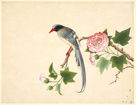 洛克王国紫藤的快速收集方法(洛克王国紫藤可掉落吗)插图20