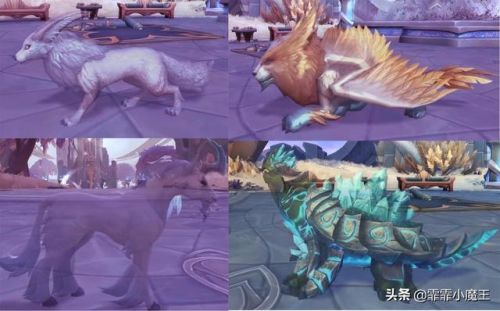 猎人宝宝大全带图(60怀旧服猎人实用宏)插图10