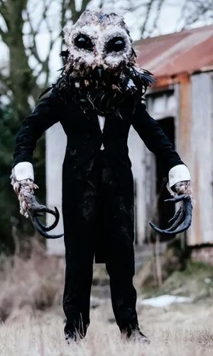 全球不明生物排名前十(中国十大不明生物图片)插图8 全球不明生物排名前十(中国十大不明生物图片)插图8