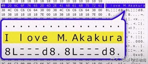 企鹅大陆(南极企鹅在大陆哪里)插图7