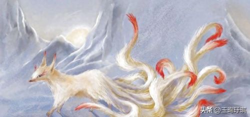 妖狐哪里多(阴阳师妖狐哪里多)插图2