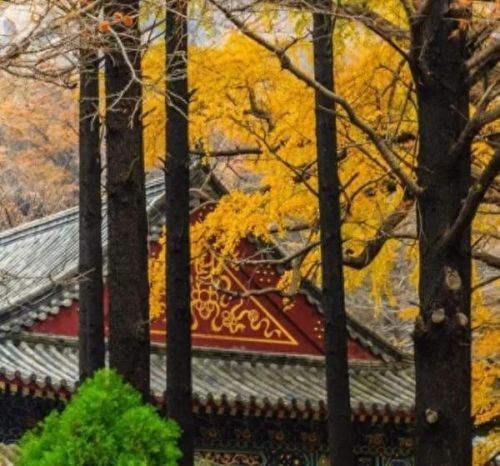 萧萧宵征枫叶在公蚂蚁庄园(萧萧游戏解说)插图2 萧萧宵征枫叶在公蚂蚁庄园(萧萧游戏解说)插图2