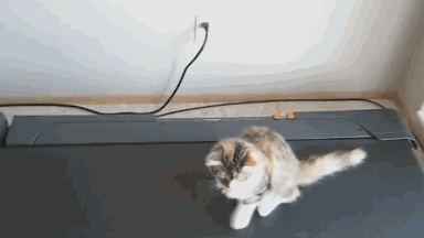 可乐最初是什么颜(可乐的最初用途)插图2