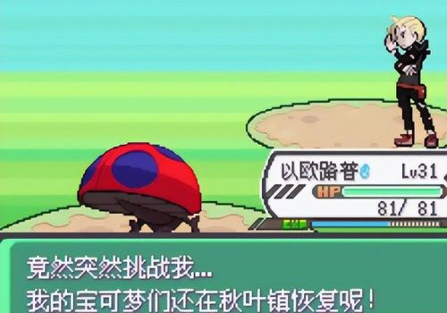 口袋妖怪究极绿宝石(口袋妖怪版本大全)插图48