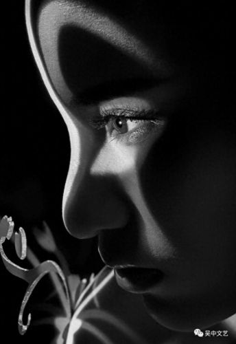 魅影精灵(魅影精灵配卡)插图2