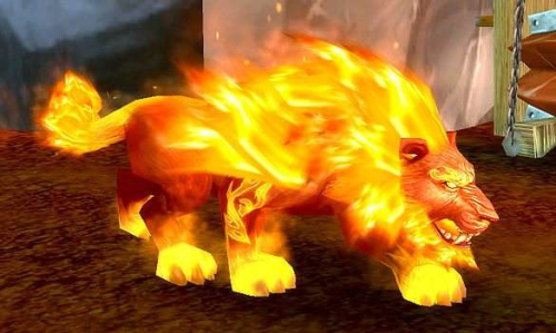 洛克王国火焰宝珠怎么获得(洛克王国娄宿是干嘛的)