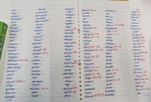 侠盗飞车4无敌秘籍(侠盗飞车4作弊码)插图7 侠盗飞车4无敌秘籍(侠盗飞车4作弊码)插图7