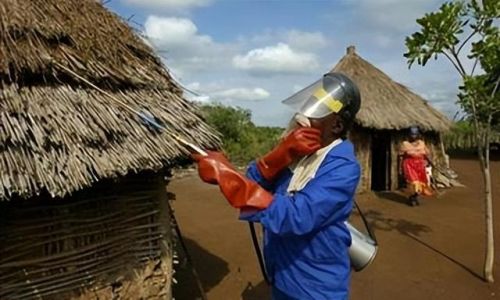 西班牙蚊帐排名前十图片(美朵嘉的蚊帐好吗)插图16 西班牙蚊帐排名前十图片(美朵嘉的蚊帐好吗)插图16