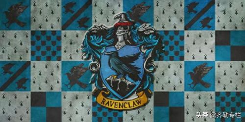 哈利波特四个学院(哈利波特四大学院变装)插图5