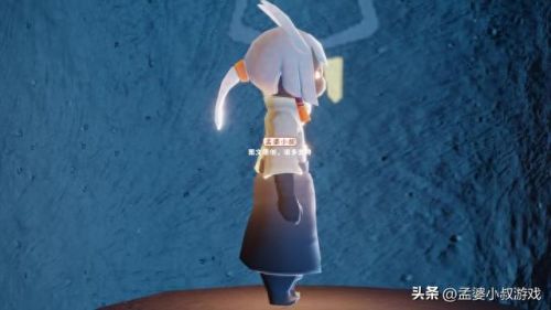 光遇白鸟(光遇巫正ss小狐狸)插图 光遇白鸟(光遇巫正ss小狐狸)插图