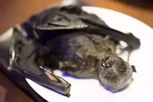 牛奶鱼群汤(牛奶麻酱汤做法大全)插图31 牛奶鱼群汤(牛奶麻酱汤做法大全)插图31