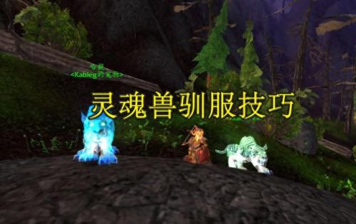 洛卡纳哈刷新时间(洛卡纳哈多久刷一次)插图 洛卡纳哈刷新时间(洛卡纳哈多久刷一次)插图