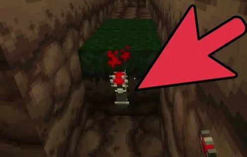 我的世界自动门感应门(我的世界有效门)