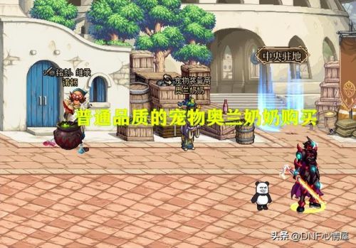 dnf宠物装备怎么获得(110最强红色宠物装备)插图7