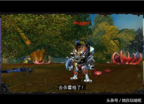 魔兽三大孝子梗(萨尔是被谁养大的)插图3