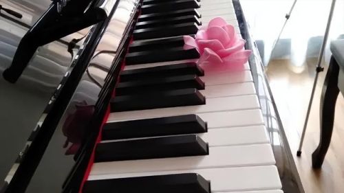 钢琴保值率排名前十(四年的钢琴贬值多少)插图1 钢琴保值率排名前十(四年的钢琴贬值多少)插图1