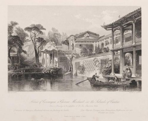 洛克王国紫藤的快速收集方法(洛克王国紫藤可掉落吗)插图9