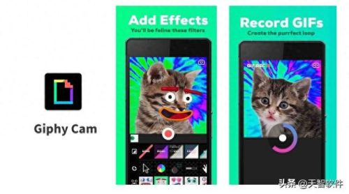 好玩的手机软件(2023年最火的交友软件)插图2