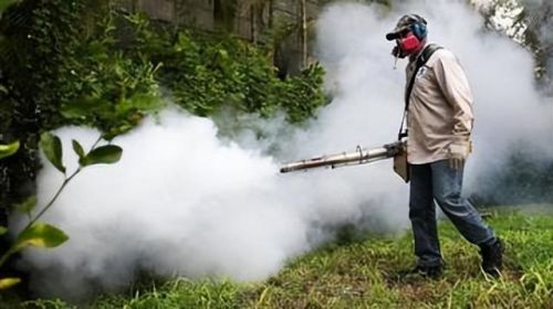 西班牙蚊帐排名前十图片(美朵嘉的蚊帐好吗)插图14 西班牙蚊帐排名前十图片(美朵嘉的蚊帐好吗)插图14