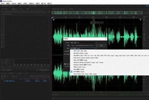 mp3播放器软件(mp3播放器app)插图4 mp3播放器软件(mp3播放器app)插图4