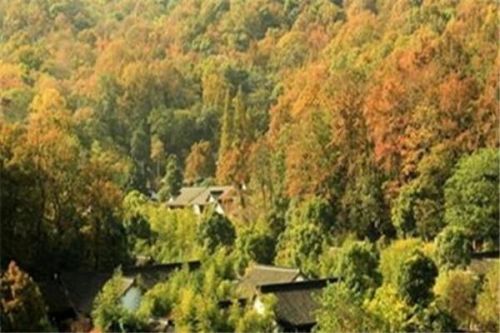 鹰潭城市人气排名前十(鹰潭市地级市吗)插图6 鹰潭城市人气排名前十(鹰潭市地级市吗)插图6