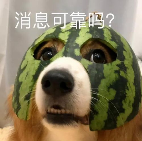 英雄联盟全部157位英雄列表(lol的英雄人物大全图片)插图2