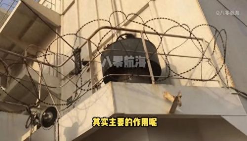 生活在海里真正的鱼(不是所有的鱼都生活在海里)插图7