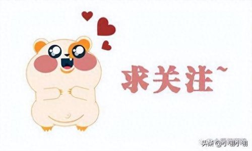 火炬之光2哪个职业厉害(火炬之光0氪职业)