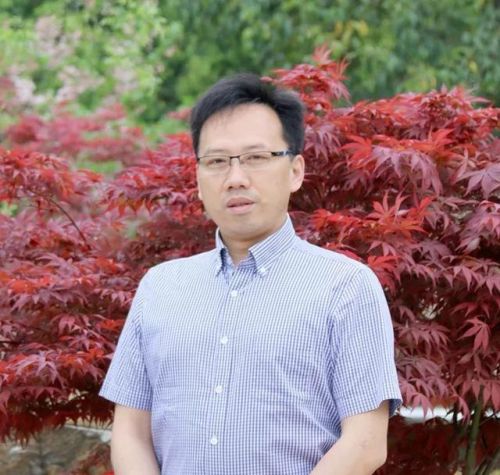 丁字型耳机排名前十(半入耳有线耳机什么牌子音质好)插图19 丁字型耳机排名前十(半入耳有线耳机什么牌子音质好)插图19