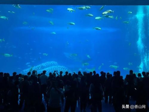 珠海世界排名前十(珠海十大海岛排名)插图56 珠海世界排名前十(珠海十大海岛排名)插图56