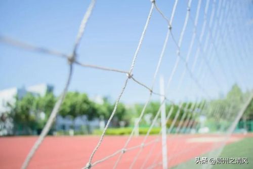 颍上中考排名前十(颍上五十铺拆)插图16 颍上中考排名前十(颍上五十铺拆)插图16