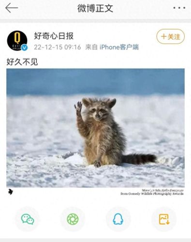 好奇心日报更新(喜马拉雅好奇心日报)插图1