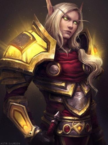 血精灵圣骑士(血精灵圣骑士排名)插图3 血精灵圣骑士(血精灵圣骑士排名)插图3