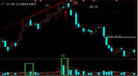 100000000迷你币永久激活码(万能激活码6位)插图14