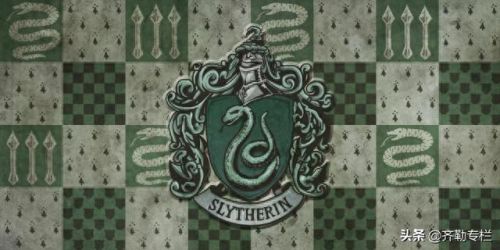 哈利波特四个学院(哈利波特四大学院变装)插图9