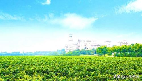 西安酒庄排名前十(咸阳酒庄)