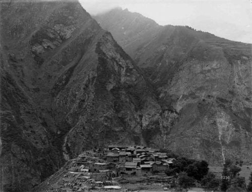 洛克王国紫藤的快速收集方法(洛克王国紫藤可掉落吗)插图29