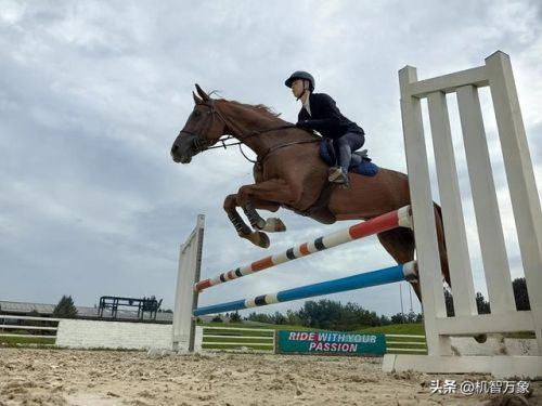 手机影像最新排名前十(最新影像图用什么软件看)插图15 手机影像最新排名前十(最新影像图用什么软件看)插图15