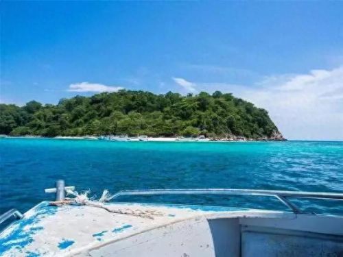 牛奶鱼群汤(牛奶麻酱汤做法大全)插图11 牛奶鱼群汤(牛奶麻酱汤做法大全)插图11