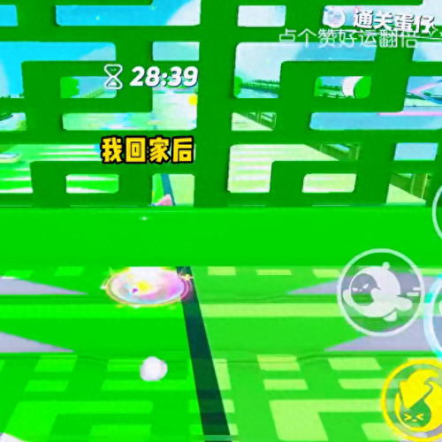 青蛇的第一张字条(青蛇的独白)插图5 青蛇的第一张字条(青蛇的独白)插图5