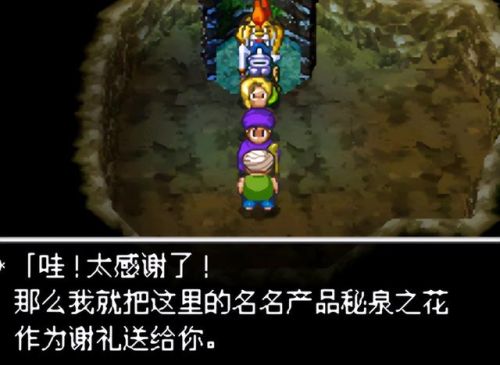 nds勇者斗恶龙5攻略(勇者斗恶龙5天空的新娘攻略详细步骤)插图6