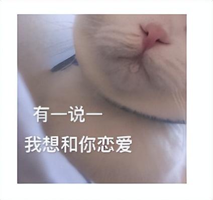 免费聊天交友不收费的软件(免费软件大全)插图1 免费聊天交友不收费的软件(免费软件大全)插图1