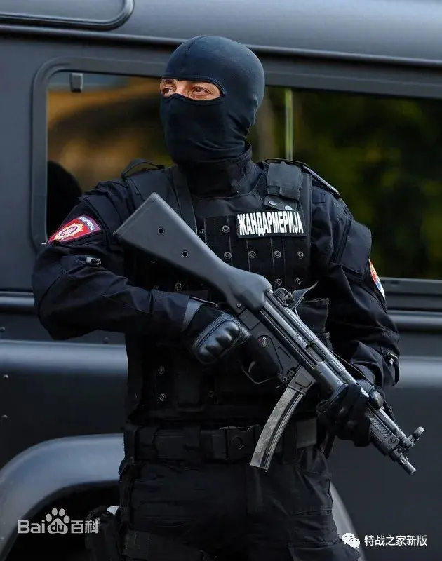 洛克王国伏地兽(洛克王国伏地兽绝版了吗)插图8