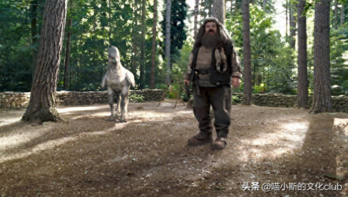 海格的礼物(海格的幸福生活)插图3 海格的礼物(海格的幸福生活)插图3