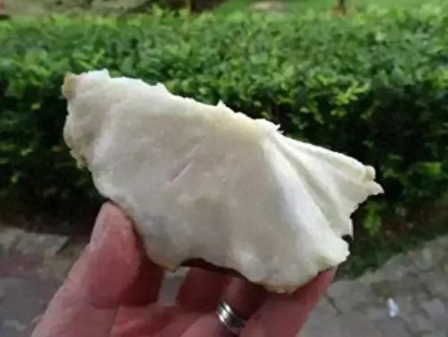 牛奶鱼群汤(牛奶麻酱汤做法大全)插图27 牛奶鱼群汤(牛奶麻酱汤做法大全)插图27