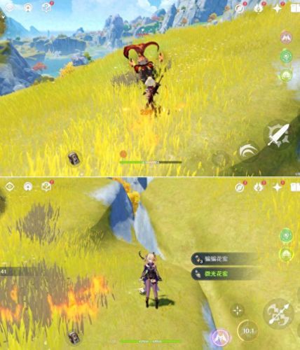 原神石珀在哪(石珀哪里采集)插图7 原神石珀在哪(石珀哪里采集)插图7