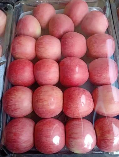 年终水果销量排名前十(什么水果销量最好)插图3 年终水果销量排名前十(什么水果销量最好)插图3