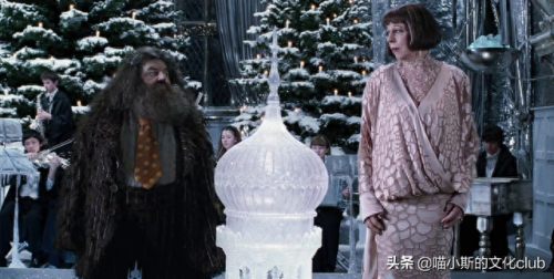 海格的礼物(海格的幸福生活)