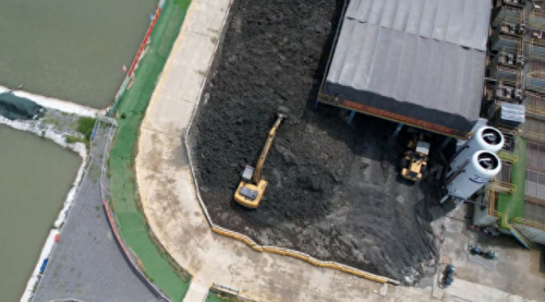 湿地又叫什么名字(湿地植物品种大全)插图4 湿地又叫什么名字(湿地植物品种大全)插图4